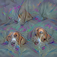 n02088238 basset, basset hound